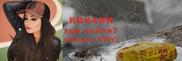 бошки Гусев