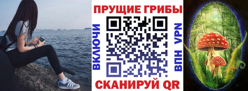 цены Верхний Тагил ОМГ ОМГ рабочий сайт Галлюциногенные грибы Cubensis